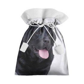 Подарочный 3D мешок с принтом Черный лабрадор в Белгороде, 100% полиэстер | Размер: 29*39 см | большая | золотистый | лабрадор | лабрадоры | палевый | песик | ретривер | собака | собаки