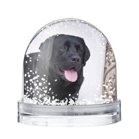 Снежный шар с принтом Черный лабрадор в Белгороде, Пластик | Изображение внутри шара печатается на глянцевой фотобумаге с двух сторон | большая | золотистый | лабрадор | лабрадоры | палевый | песик | ретривер | собака | собаки