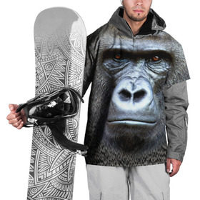 Накидка на куртку 3D с принтом Взгляд в Белгороде, 100% полиэстер |  | взгляд | голова | животные | обезьяна | природа