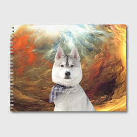 Альбом для рисования с принтом Хаски в Белгороде, 100% бумага
 | матовая бумага, плотность 200 мг. | маламут | песик | собака | собаки | собачка | хаски