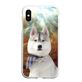 Чехол для iPhone XS Max матовый с принтом Хаски в Белгороде, Силикон | Область печати: задняя сторона чехла, без боковых панелей | маламут | песик | собака | собаки | собачка | хаски