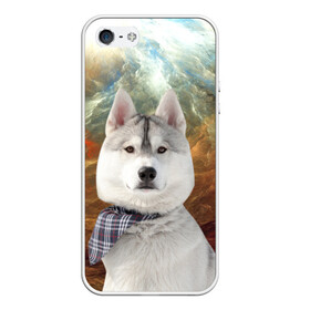 Чехол для iPhone 5/5S матовый с принтом Хаски в Белгороде, Силикон | Область печати: задняя сторона чехла, без боковых панелей | маламут | песик | собака | собаки | собачка | хаски