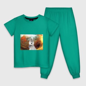 Детская пижама хлопок с принтом Хаски в Белгороде, 100% хлопок |  брюки и футболка прямого кроя, без карманов, на брюках мягкая резинка на поясе и по низу штанин
 | маламут | песик | собака | собаки | собачка | хаски