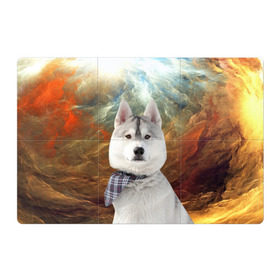 Магнитный плакат 3Х2 с принтом Хаски в Белгороде, Полимерный материал с магнитным слоем | 6 деталей размером 9*9 см | маламут | песик | собака | собаки | собачка | хаски