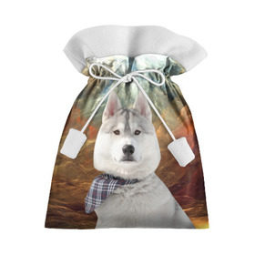 Подарочный 3D мешок с принтом Хаски в Белгороде, 100% полиэстер | Размер: 29*39 см | Тематика изображения на принте: маламут | песик | собака | собаки | собачка | хаски