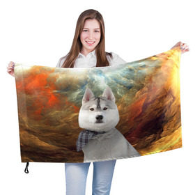 Флаг 3D с принтом Хаски в Белгороде, 100% полиэстер | плотность ткани — 95 г/м2, размер — 67 х 109 см. Принт наносится с одной стороны | маламут | песик | собака | собаки | собачка | хаски