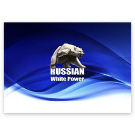 Поздравительная открытка с принтом Russian white power в Белгороде, 100% бумага | плотность бумаги 280 г/м2, матовая, на обратной стороне линовка и место для марки
 | медведь | патриот | русский | русы | русь | сила | славяне