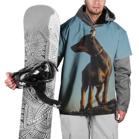 Накидка на куртку 3D с принтом Доберман в Белгороде, 100% полиэстер |  | доберман | доберманы | пес | песик | псы | собака | собаки