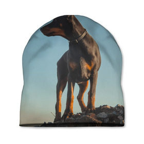 Шапка 3D с принтом Доберман в Белгороде, 100% полиэстер | универсальный размер, печать по всей поверхности изделия | Тематика изображения на принте: доберман | доберманы | пес | песик | псы | собака | собаки