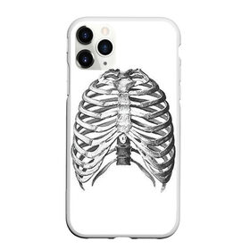 Чехол для iPhone 11 Pro матовый с принтом Ребра в Белгороде, Силикон |  | bones | halloween | skull | скелет | скелеты | хеллоиун | хэллоуин | хэлоуин | череп | черепа