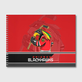 Альбом для рисования с принтом Chicago Blackhawks в Белгороде, 100% бумага
 | матовая бумага, плотность 200 мг. | chicago blackhawks | nhl | stanley cup | анисимов | блэкхокс | кубок стенли | кубок стэнли | нхл | панарин | хоккей | хоккейный клуб | чикаго | чикаго блэкхокс