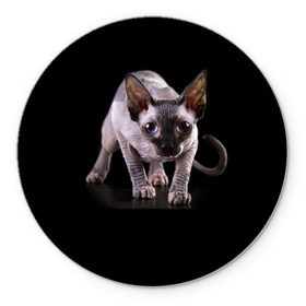 Коврик круглый с принтом Сфинкс в Белгороде, резина и полиэстер | круглая форма, изображение наносится на всю лицевую часть | взгляд | глаза | голова животного | киска | кот | котёнок | кошка | прикольные картинки