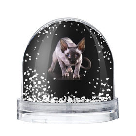 Снежный шар с принтом Сфинкс в Белгороде, Пластик | Изображение внутри шара печатается на глянцевой фотобумаге с двух сторон | взгляд | глаза | голова животного | киска | кот | котёнок | кошка | прикольные картинки