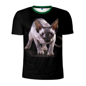 Мужская футболка 3D спортивная с принтом Сфинкс в Белгороде, 100% полиэстер с улучшенными характеристиками | приталенный силуэт, круглая горловина, широкие плечи, сужается к линии бедра | взгляд | глаза | голова животного | киска | кот | котёнок | кошка | прикольные картинки