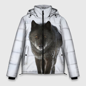 Мужская зимняя куртка 3D с принтом Черный волк в Белгороде, верх — 100% полиэстер; подкладка — 100% полиэстер; утеплитель — 100% полиэстер | длина ниже бедра, свободный силуэт Оверсайз. Есть воротник-стойка, отстегивающийся капюшон и ветрозащитная планка. 

Боковые карманы с листочкой на кнопках и внутренний карман на молнии. | дикий | зима