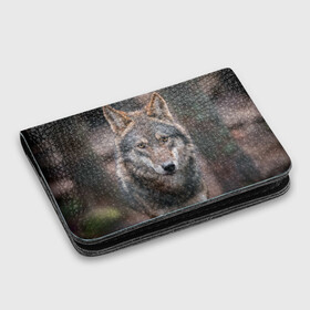 Картхолдер с принтом с принтом Wolf в Белгороде, натуральная матовая кожа | размер 7,3 х 10 см; кардхолдер имеет 4 кармана для карт; | зверь | лес