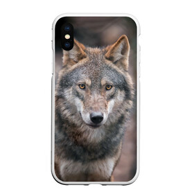 Чехол для iPhone XS Max матовый с принтом Wolf в Белгороде, Силикон | Область печати: задняя сторона чехла, без боковых панелей | зверь | лес
