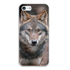 Чехол для iPhone 5/5S матовый с принтом Wolf в Белгороде, Силикон | Область печати: задняя сторона чехла, без боковых панелей | зверь | лес