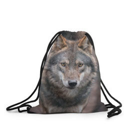 Рюкзак-мешок 3D с принтом Wolf в Белгороде, 100% полиэстер | плотность ткани — 200 г/м2, размер — 35 х 45 см; лямки — толстые шнурки, застежка на шнуровке, без карманов и подкладки | зверь | лес