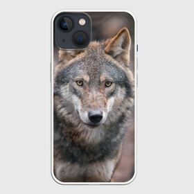 Чехол для iPhone 13 с принтом Wolf в Белгороде,  |  | зверь | лес