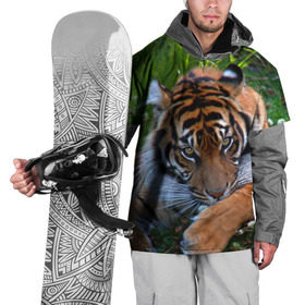Накидка на куртку 3D с принтом Скромный тигр в Белгороде, 100% полиэстер |  | Тематика изображения на принте: дикие | лев | милые | новинки | орел | популярные | прикольные | природа | птицы | тигр | яркие