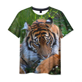 Мужская футболка 3D с принтом Скромный тигр в Белгороде, 100% полиэфир | прямой крой, круглый вырез горловины, длина до линии бедер | дикие | лев | милые | новинки | орел | популярные | прикольные | природа | птицы | тигр | яркие