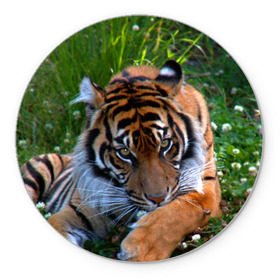 Коврик круглый с принтом Скромный тигр в Белгороде, резина и полиэстер | круглая форма, изображение наносится на всю лицевую часть | дикие | лев | милые | новинки | орел | популярные | прикольные | природа | птицы | тигр | яркие