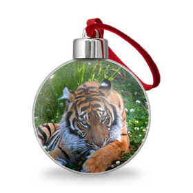 Ёлочный шар с принтом Скромный тигр в Белгороде, Пластик | Диаметр: 77 мм | дикие | лев | милые | новинки | орел | популярные | прикольные | природа | птицы | тигр | яркие