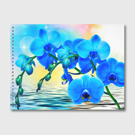Альбом для рисования с принтом Орхидеи в Белгороде, 100% бумага
 | матовая бумага, плотность 200 мг. | Тематика изображения на принте: орхидея | природа | цветы