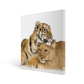 Холст квадратный с принтом Тигр и львица в Белгороде, 100% ПВХ |  | Тематика изображения на принте: дикие | милые | природа | тигр | яркие