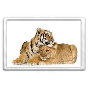 Магнит 45*70 с принтом Тигр и львица в Белгороде, Пластик | Размер: 78*52 мм; Размер печати: 70*45 | дикие | милые | природа | тигр | яркие