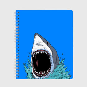 Тетрадь с принтом shark в Белгороде, 100% бумага | 48 листов, плотность листов — 60 г/м2, плотность картонной обложки — 250 г/м2. Листы скреплены сбоку удобной пружинной спиралью. Уголки страниц и обложки скругленные. Цвет линий — светло-серый
 | fish | ocean | shark | water | акула | море | океан | рыба