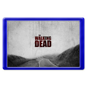 Магнит 45*70 с принтом The Walking Dead в Белгороде, Пластик | Размер: 78*52 мм; Размер печати: 70*45 | the walking dead | америка | апокалипсис | глен | дерил | зомби | карл | кровь | рик | сша | ходячие мертвецы