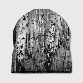 Шапка 3D с принтом Березовая роща в Белгороде, 100% полиэстер | универсальный размер, печать по всей поверхности изделия | birch | birch grove | black   white | forest | photo | trees | березовая | березы | деревья | лес | роща | фото | черно   белое
