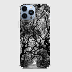 Чехол для iPhone 13 Pro Max с принтом Деревья в Белгороде,  |  | black   white | crown | curly | forest | park | path | photo | thick | trees | деревья | дорожка | дремучий | крона | кудрявая | лес | парк | фото | черно   белое