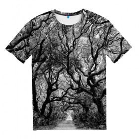 Мужская футболка 3D с принтом Деревья в Белгороде, 100% полиэфир | прямой крой, круглый вырез горловины, длина до линии бедер | black   white | crown | curly | forest | park | path | photo | thick | trees | деревья | дорожка | дремучий | крона | кудрявая | лес | парк | фото | черно   белое