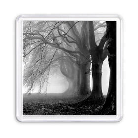 Магнит 55*55 с принтом Туман в лесу в Белгороде, Пластик | Размер: 65*65 мм; Размер печати: 55*55 мм | Тематика изображения на принте: black   white | fog | forest | morning | photo | silhouette | trees | деревья | лес | силуэт | туман | утро | фото | черно   белое