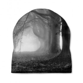 Шапка 3D с принтом Туман в лесу в Белгороде, 100% полиэстер | универсальный размер, печать по всей поверхности изделия | black   white | fog | forest | morning | photo | silhouette | trees | деревья | лес | силуэт | туман | утро | фото | черно   белое