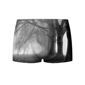 Мужские трусы 3D с принтом Туман в лесу в Белгороде, 50% хлопок, 50% полиэстер | классическая посадка, на поясе мягкая тканевая резинка | black   white | fog | forest | morning | photo | silhouette | trees | деревья | лес | силуэт | туман | утро | фото | черно   белое