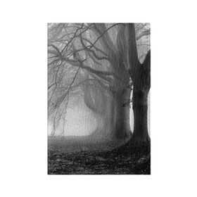 Обложка для паспорта матовая кожа с принтом Туман в лесу в Белгороде, натуральная матовая кожа | размер 19,3 х 13,7 см; прозрачные пластиковые крепления | Тематика изображения на принте: black   white | fog | forest | morning | photo | silhouette | trees | деревья | лес | силуэт | туман | утро | фото | черно   белое