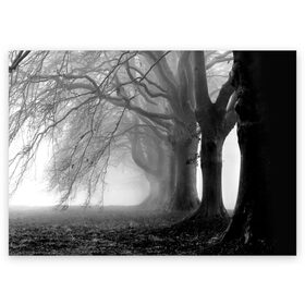 Поздравительная открытка с принтом Туман в лесу в Белгороде, 100% бумага | плотность бумаги 280 г/м2, матовая, на обратной стороне линовка и место для марки
 | Тематика изображения на принте: black   white | fog | forest | morning | photo | silhouette | trees | деревья | лес | силуэт | туман | утро | фото | черно   белое