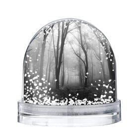 Снежный шар с принтом Туман в лесу в Белгороде, Пластик | Изображение внутри шара печатается на глянцевой фотобумаге с двух сторон | black   white | fog | forest | morning | photo | silhouette | trees | деревья | лес | силуэт | туман | утро | фото | черно   белое