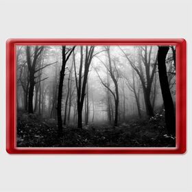 Магнит 45*70 с принтом Туман в лесу в Белгороде, Пластик | Размер: 78*52 мм; Размер печати: 70*45 | black   white | fog | forest | morning | photo | silhouette | trees | деревья | лес | силуэт | туман | утро | фото | черно   белое