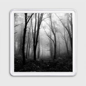 Магнит 55*55 с принтом Туман в лесу в Белгороде, Пластик | Размер: 65*65 мм; Размер печати: 55*55 мм | Тематика изображения на принте: black   white | fog | forest | morning | photo | silhouette | trees | деревья | лес | силуэт | туман | утро | фото | черно   белое