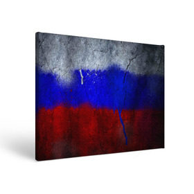 Холст прямоугольный с принтом Триколор (Краской на земле) в Белгороде, 100% ПВХ |  | russia | белый | красный | российский флаг | россия | синий | триколор