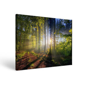 Холст прямоугольный с принтом Утро в лесу в Белгороде, 100% ПВХ |  | bright | fog | forest | morning | sun | tree | trees | дерево | деревья | лес | солнце | туман | утро | яркое