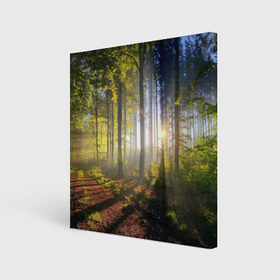 Холст квадратный с принтом Утро в лесу в Белгороде, 100% ПВХ |  | Тематика изображения на принте: bright | fog | forest | morning | sun | tree | trees | дерево | деревья | лес | солнце | туман | утро | яркое
