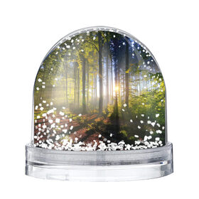Снежный шар с принтом Утро в лесу в Белгороде, Пластик | Изображение внутри шара печатается на глянцевой фотобумаге с двух сторон | bright | fog | forest | morning | sun | tree | trees | дерево | деревья | лес | солнце | туман | утро | яркое