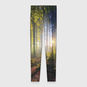 Леггинсы 3D с принтом Утро в лесу в Белгороде, 80% полиэстер, 20% эластан | Эластичный пояс, зауженные к низу, низкая посадка | bright | fog | forest | morning | sun | tree | trees | дерево | деревья | лес | солнце | туман | утро | яркое