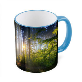 Кружка 3D с принтом Утро в лесу в Белгороде, керамика | ёмкость 330 мл | bright | fog | forest | morning | sun | tree | trees | дерево | деревья | лес | солнце | туман | утро | яркое